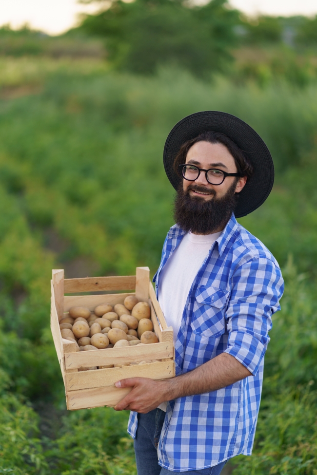 Smiling young farmer holding wooden crate of potatoes on green potato field background.