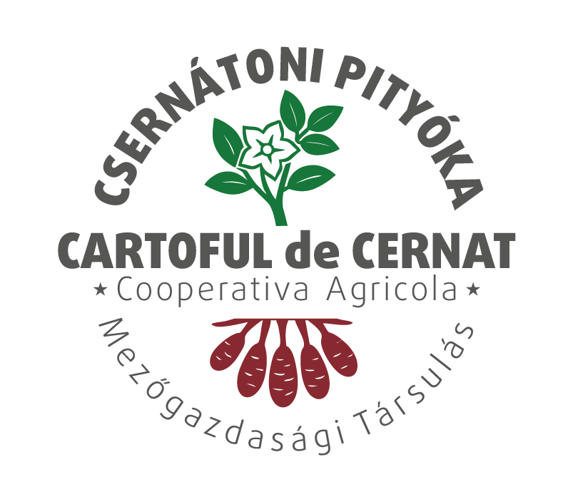 logo-new