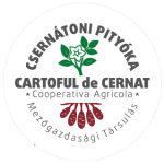 logo1